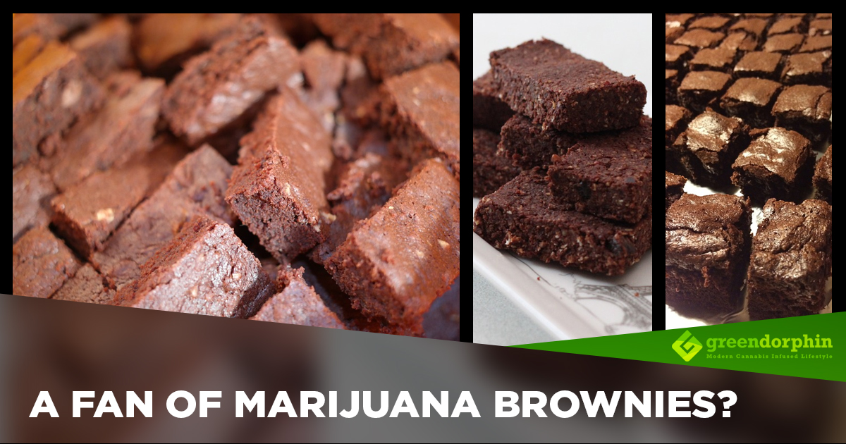 The Mother of All Edibles Marijuana Brownies