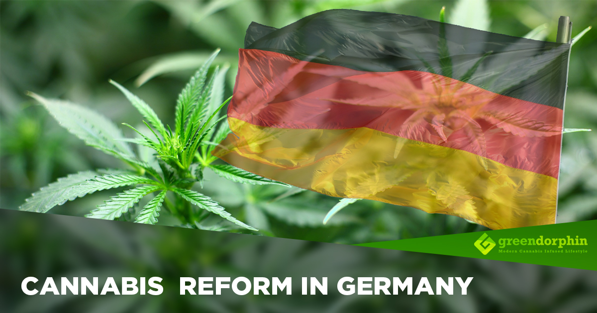 What Does the German Marijuana Reform Look Like And Why Should You