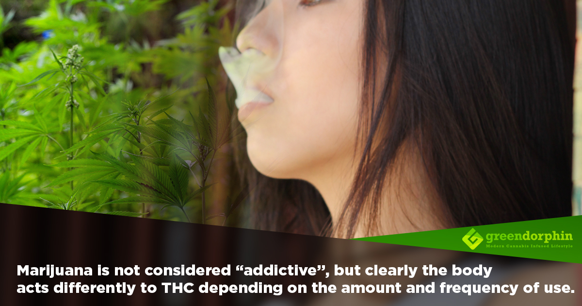 Can You Build A Tolerance To Weed How Does Cannabis Tolerance Build Up In The Body? | Greendorphin.com