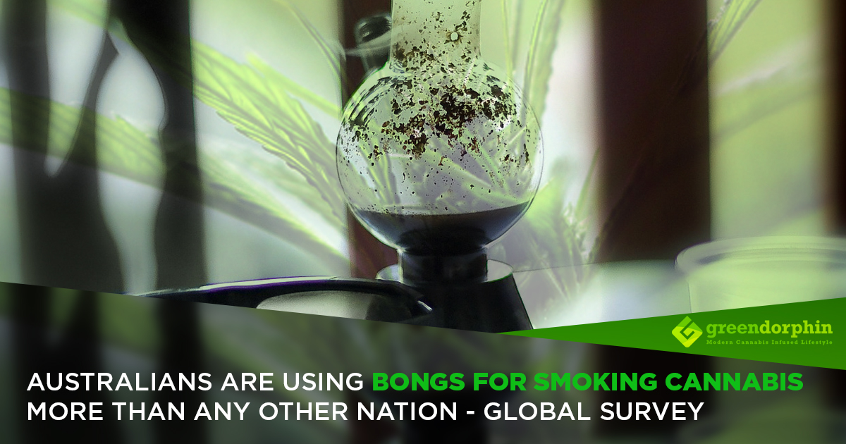 Australians Are Using Bongs for Smoking Cannabis More than Any Other