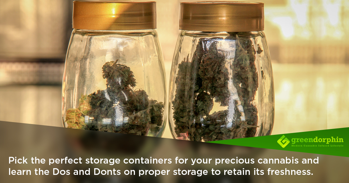 How to store your cannabis to retain its freshness l Greendorphin