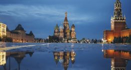 What Makes New Terra Pro CBD Gummies Stand Out