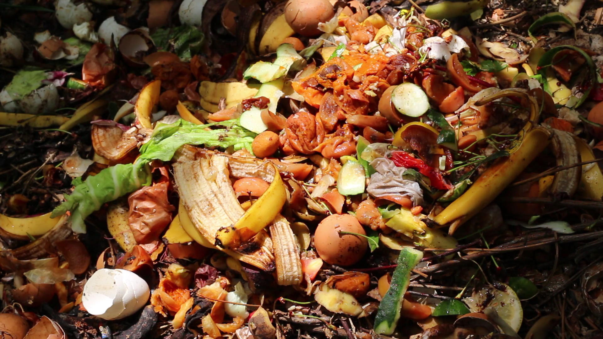 Grow organic weed common scraps